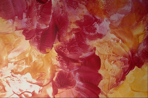 583082 Impressionist Red Onto Yellow A4 Photo Print