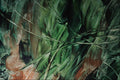 583096 Green Tropical Vegetation A4 Photo Print