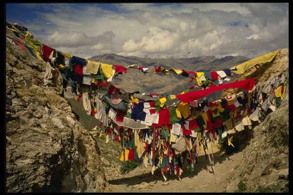 584038 Prayer Flags, Himalayas, Tibet A4 Photo Print