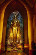 584065 Standing Buddha, Pagan, Burma A4 Photo Print