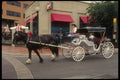 585000 Horse And Carriage, Dallas, Texas A4 Photo Print