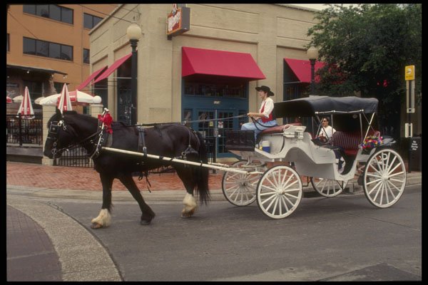 585000 Horse And Carriage, Dallas, Texas A4 Photo Print