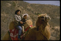 585003 A Shaggy Camel Greets Great Wall Visitors, China A4 Photo Print