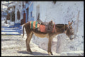 585011 Donkey, Fira Santorini, Greece A4 Photo Print