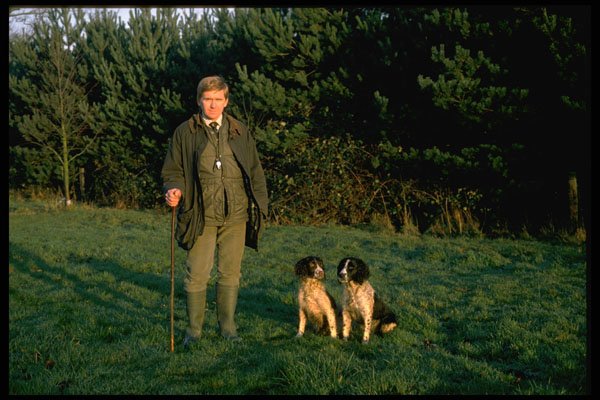 585024 Springer Spaniels At Pheasant Shoot A4 Photo Print