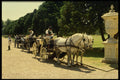 585030 Horse And Carriage, Hampton Court, England A4 Photo Print