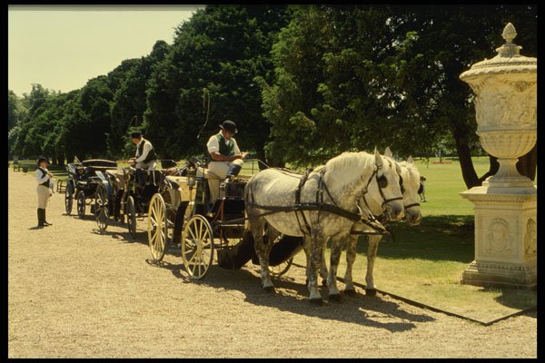 585030 Horse And Carriage, Hampton Court, England A4 Photo Print