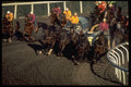 585034 Chuckwagon Race, Alberta, Canada A4 Photo Print