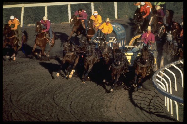 585034 Chuckwagon Race, Alberta, Canada A4 Photo Print