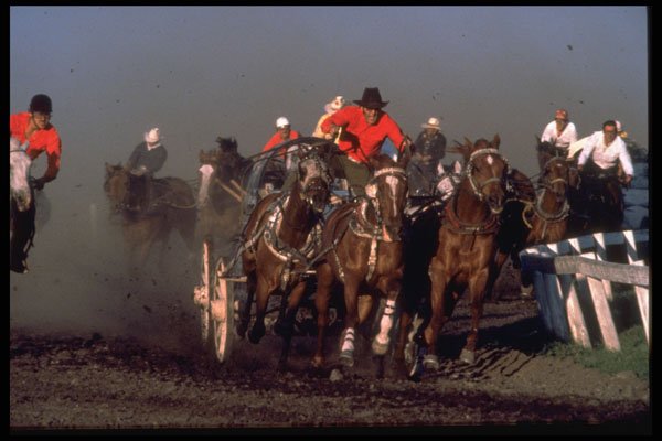 585035 Chuckwagon Race, Alberta, Canada A4 Photo Print