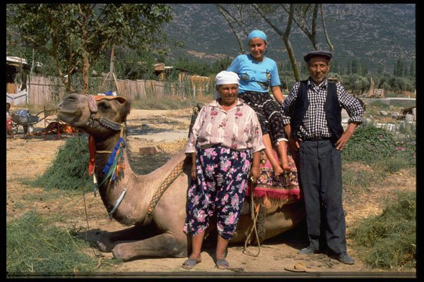 585036 Turkey A4 Photo Print