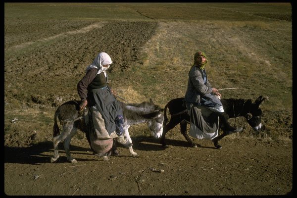 585048 Women Traveling By Donkey, Turkey A4 Photo Print
