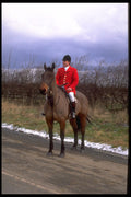 585052 Huntsman In January, England A4 Photo Print