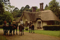 585058 Horses And Riders On Kenmore Estate, Ireland A4 Photo Print
