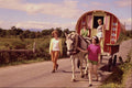 585059 Four Girls With Horse drawn Caravan, Ireland A4 Photo Print