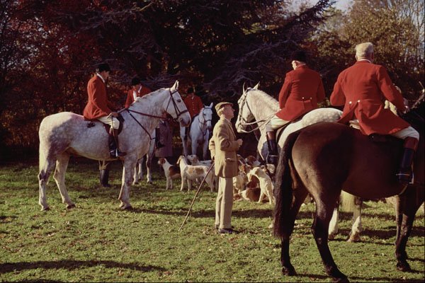 585060 Horses And Riders Of The Chiddingfold Hunt, Surrey, England A4 Photo Print
