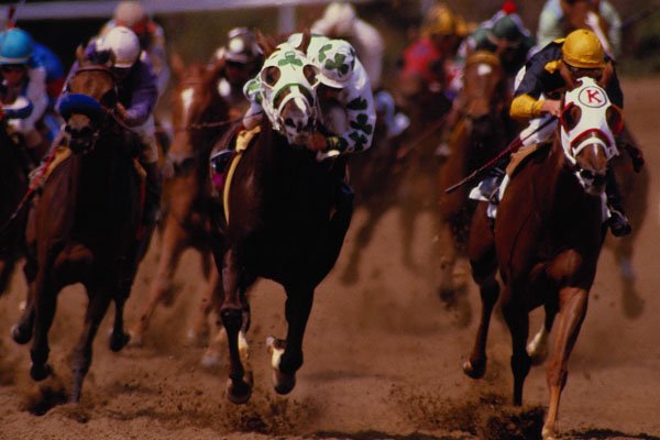 585061 Horse Racing A4 Photo Print
