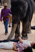 585068 Thailand Elephant Show A4 Photo Print