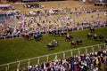 585070 Royal Ascot Horse Racing A4 Photo Print