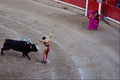 585071 Bullfight, Madrid, Spain A4 Photo Print