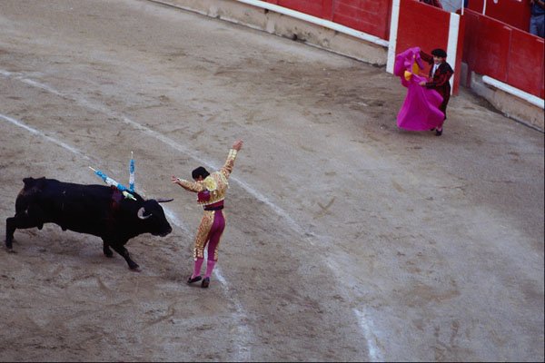 585071 Bullfight, Madrid, Spain A4 Photo Print