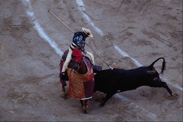 585072 Bullfight, Madrid, Spain A4 Photo Print