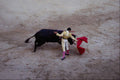 585073 Bullfight, Madrid, Spain A4 Photo Print