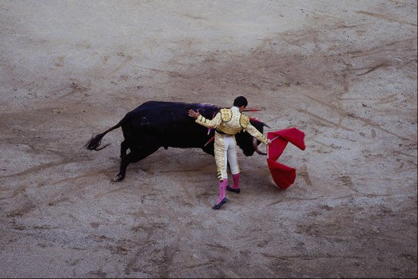 585073 Bullfight, Madrid, Spain A4 Photo Print