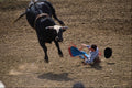 585075 Bull Rider Bucked Off A4 Photo Print