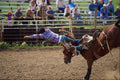 585078 Saddle Bronc Rider Exit A4 Photo Print