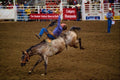 585079 Bareback Rider Hanging In A4 Photo Print