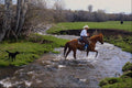 585080 Cowboy Crossing Creek A4 Photo Print