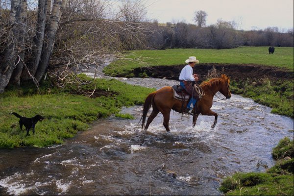 585080 Cowboy Crossing Creek A4 Photo Print