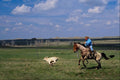 585083 Cowboy Roping Calf A4 Photo Print