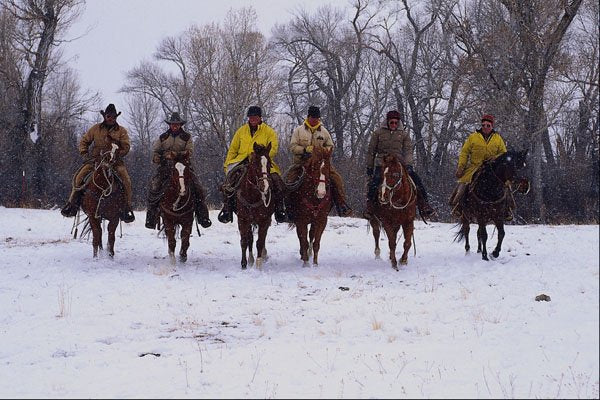 585084 Cowboy Crew In Winter A4 Photo Print