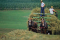 585087 Belgians On Amish Farm, Holmes County, Ohio A4 Photo Print
