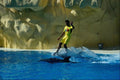 585089 Man With Dolphin, Tenerife A4 Photo Print