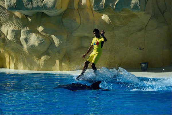 585089 Man With Dolphin, Tenerife A4 Photo Print