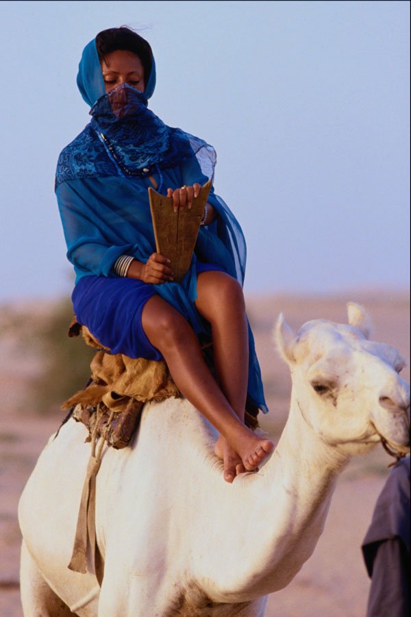 585091 Tuareg Woman On A Camel Returning To Camp, Mali A4 Photo Print