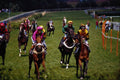 585096 At The Races A4 Photo Print