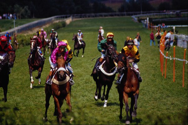585096 At The Races A4 Photo Print