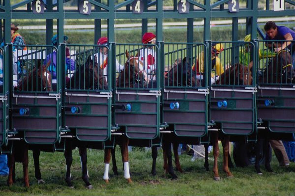 585097 At The Start, Horse Race A4 Photo Print