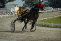 585099 Harness Racing, Annual Perth Fair, Ontario, Canada A4 Photo Print