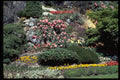 586008 Quarry Flowers A4 Photo Print