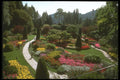 586037 Flower Garden A4 Photo Print