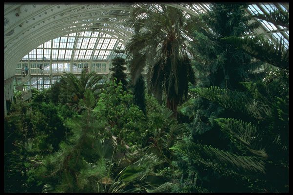 586060 Royal Botanical Gardens, London, England A4 Photo Print