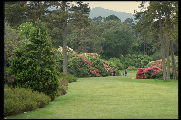 586065 Muckross House Gardens, Ireland A4 Photo Print
