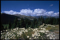 586086 Boreas Pass, Breckenridge A4 Photo Print