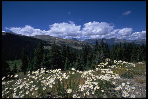586086 Boreas Pass, Breckenridge A4 Photo Print