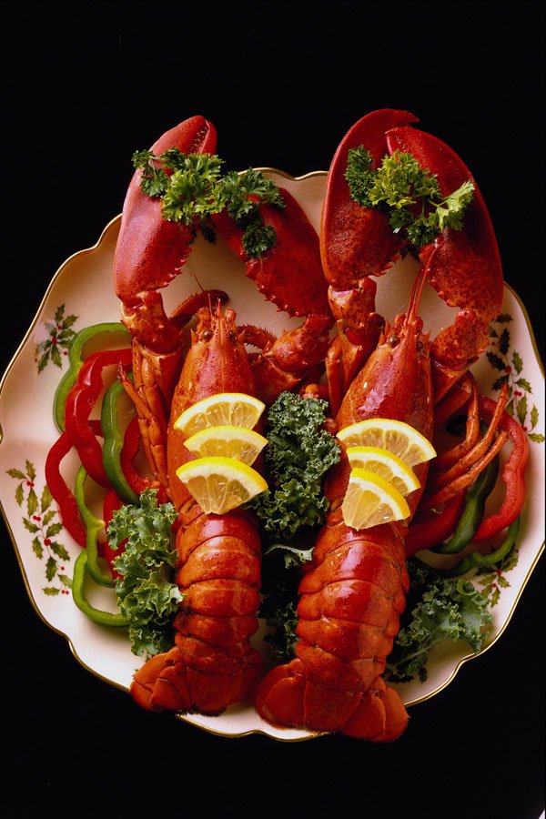 587051 Twin Lobsters A4 Photo Print
